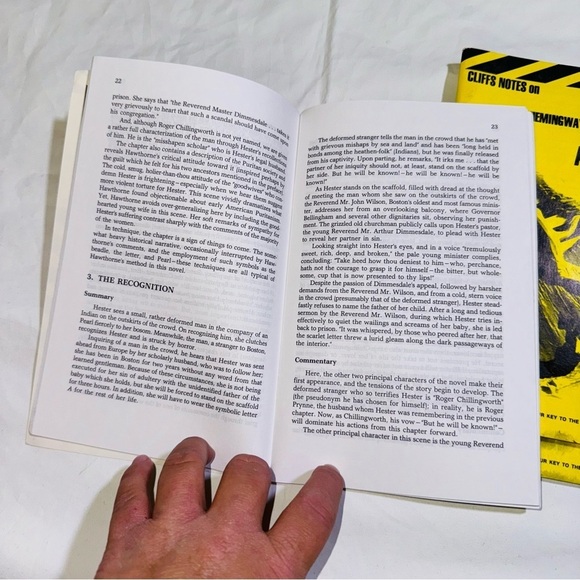 Cliffs Notes Set Of Three Books Hawthorne & Joyce / The Scarlet Letter & More - Picture 7 of 7